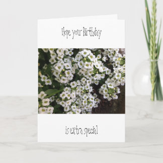 Carte d'anniversaire Alyssum
