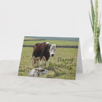 Carte d'anniversaire amusante