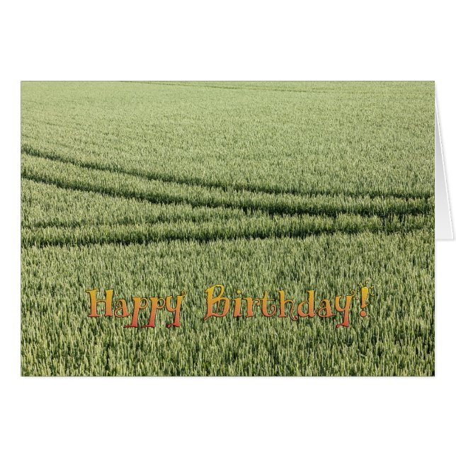 Carte d'anniversaire amusante (Devant horizontal)