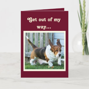 Carte d'anniversaire amusante avec Basset Hound et