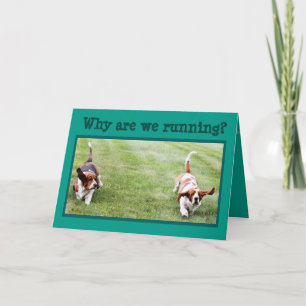 Carte d'anniversaire amusante avec Basset Hounds &
