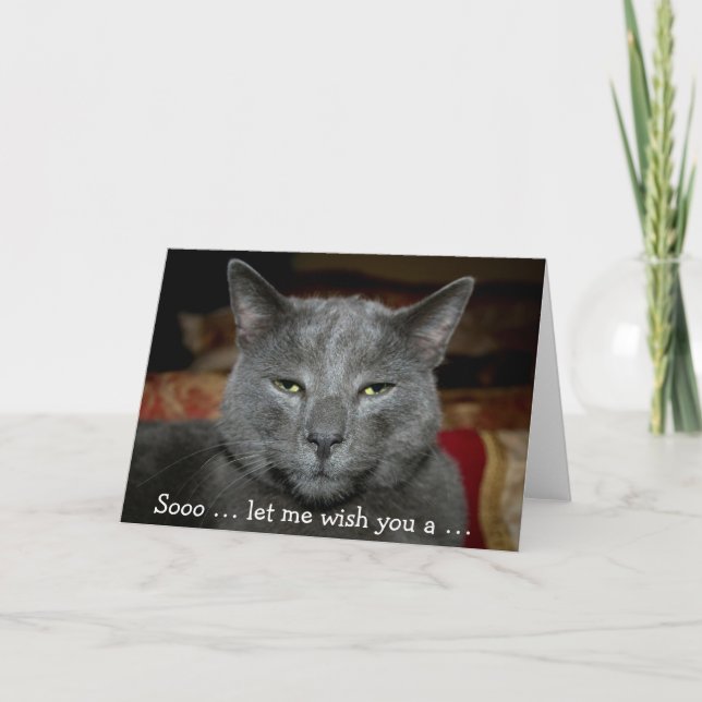 Carte d'anniversaire amusante avec chat gris (Devant)