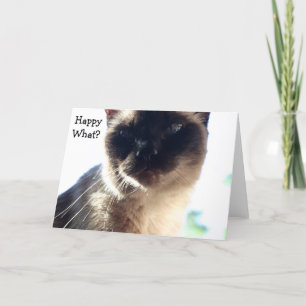 Carte d'anniversaire amusante avec chat : Heureux 