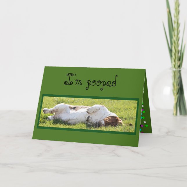 Carte d'anniversaire amusante avec le Hound dorman (Devant)