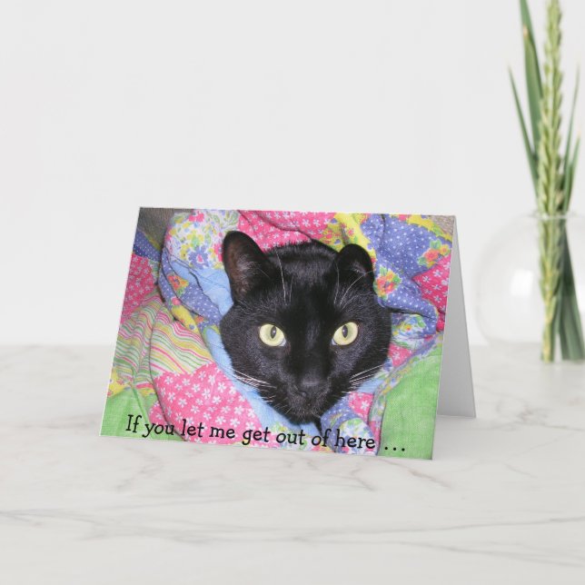 Carte d'anniversaire amusante : Chat noir envelopp (Devant)