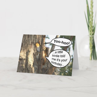 Carte d'anniversaire amusante d'écureuil - Yoo hoo