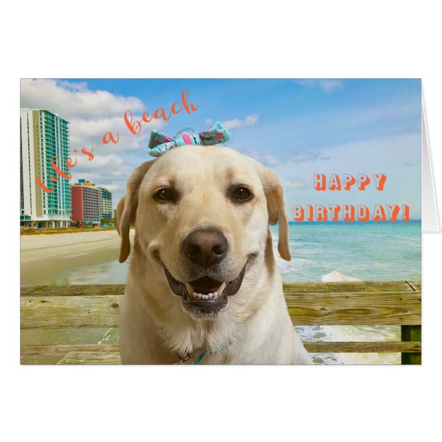 Carte d'anniversaire amusante Labrador Chien, clai (Devant horizontal)