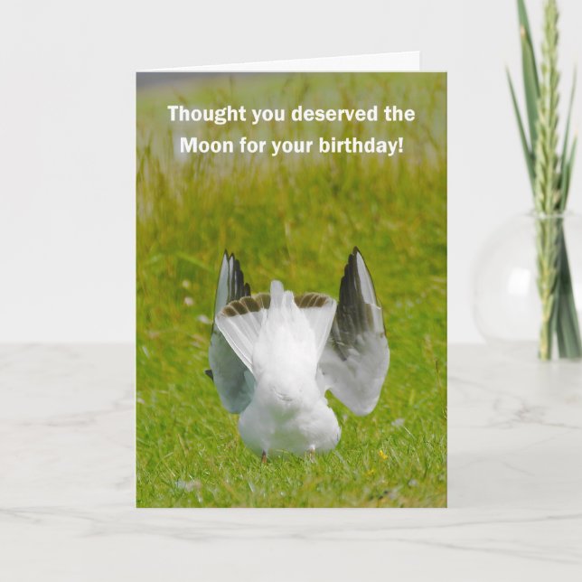Carte d'anniversaire amusante - Mooning Seagull (Devant)