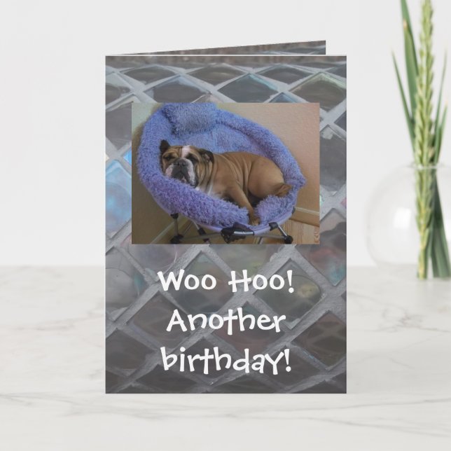 Carte d'anniversaire anglaise drôle de bouledogue (Devant)