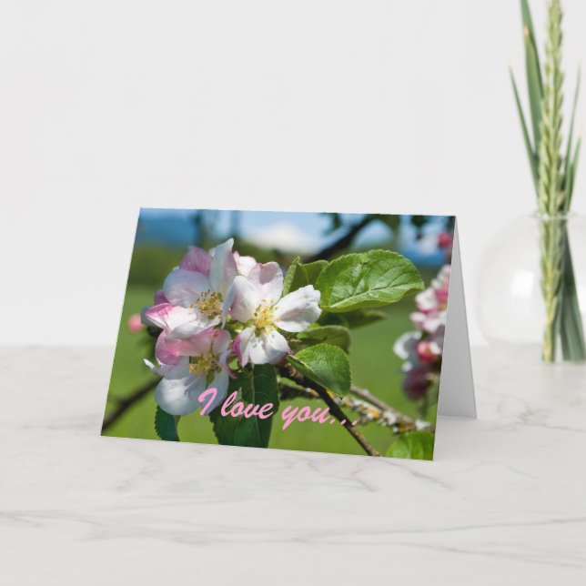 Carte d'anniversaire Apple Blossom (Devant)