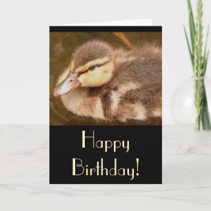 Carte d'anniversaire au canard