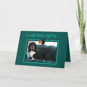Carte d'anniversaire avec Basset Hound et Birdie