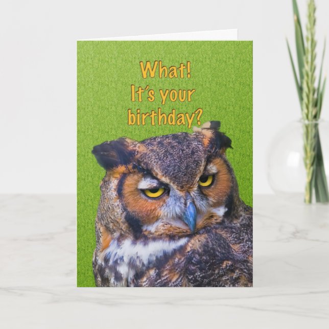 Carte d'anniversaire avec la grande chouette à cor (Devant)