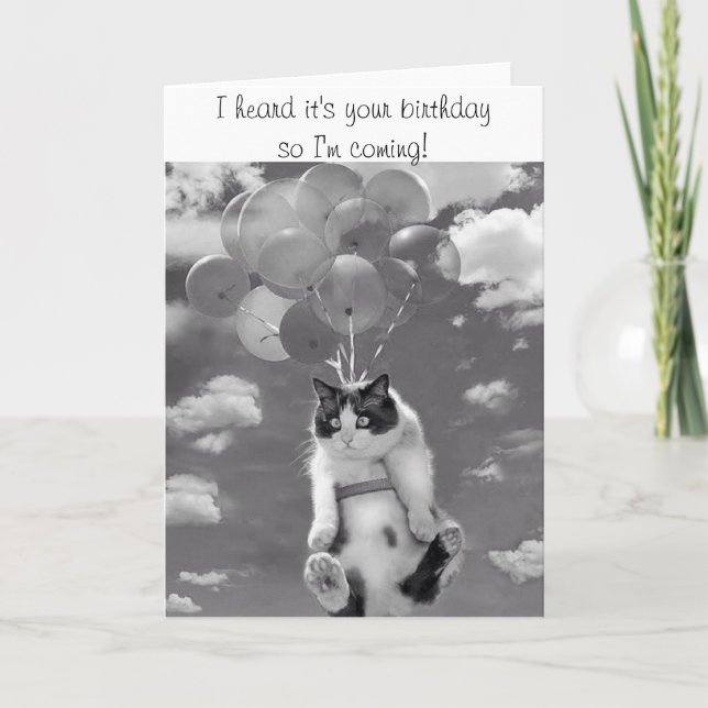 Carte d'anniversaire avec le chat de vol (Devant)