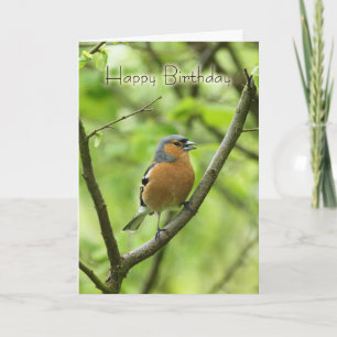 Carte d'anniversaire avec mâle Chaffinch (Fringill