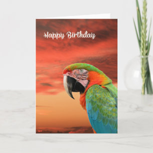 Carte d'anniversaire avec perroquet coloré et couc