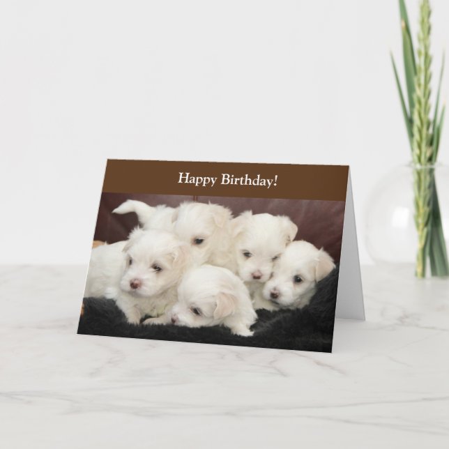 Carte d'anniversaire avec photo de marionnettes ma (Devant)