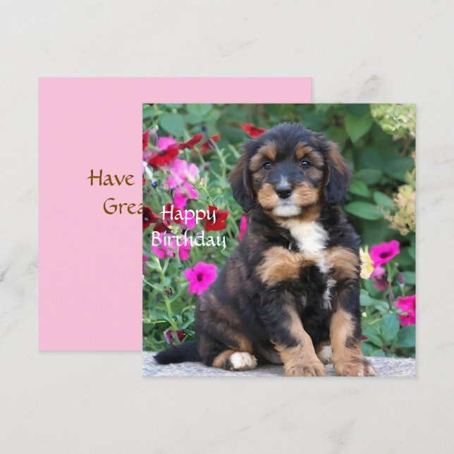 Carte d'anniversaire avec un chiot Bernedoodle dan (Devant / Derrière)