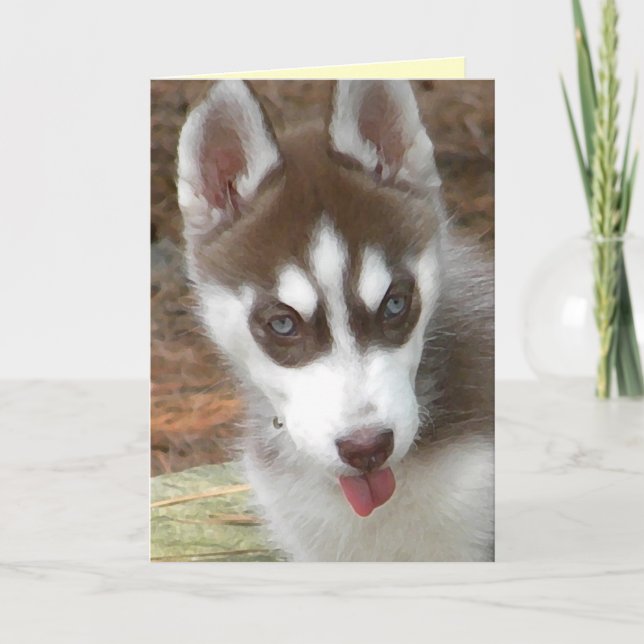 Carte d'anniversaire AW - Sibérie Husky (Devant)