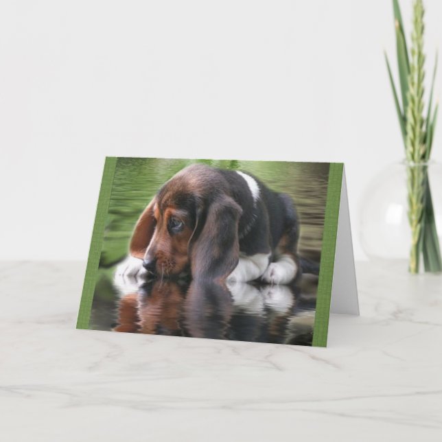 Carte d'anniversaire beagle (Devant)