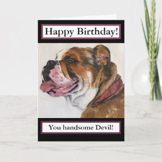 Carte d'anniversaire 'beau diable', Bull Dog