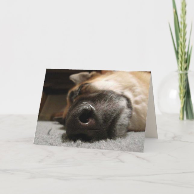Carte d'anniversaire berger allemand dormant (Devant)