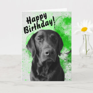 Carte d'anniversaire Black Lab personnalisable Gre