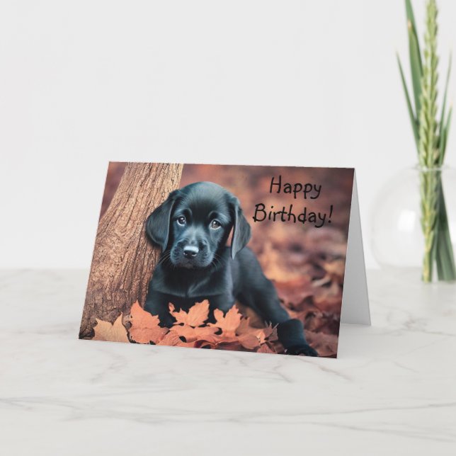 Carte d'anniversaire Black Lab Puppy (Devant)