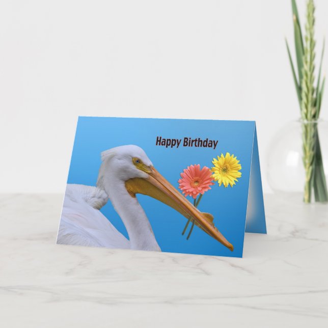 Carte d'anniversaire blanche américaine Pélican (Devant)
