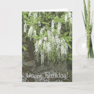 Carte d'anniversaire blanche de glycines