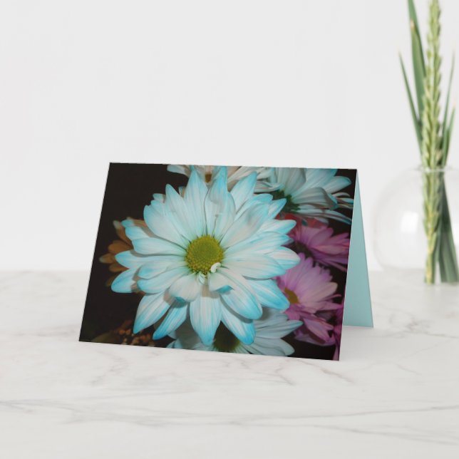 Carte d'anniversaire Blue and White Daisy (Devant)
