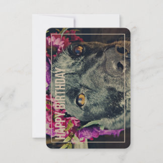 Carte d'anniversaire Boho Heeler