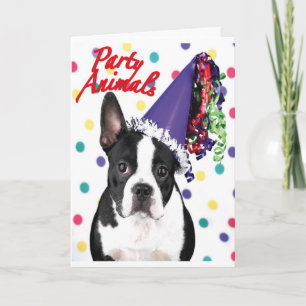Carte d'anniversaire Boston Terrier