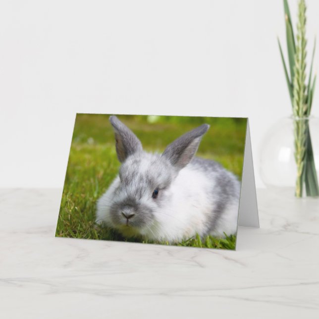 Carte d'anniversaire Bunny (Devant)