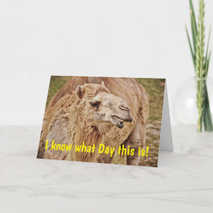 Carte d'anniversaire Camel Punny Humppy