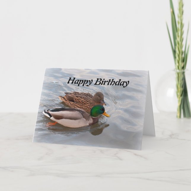 Carte d'anniversaire : Canards de Mallard (Devant)