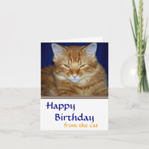 Carte d'anniversaire - Chat tigré grincheux - Drôl