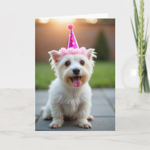 Carte d'anniversaire Chien Blanc Doux