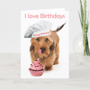 Carte d'anniversaire Chien teckel avec toque