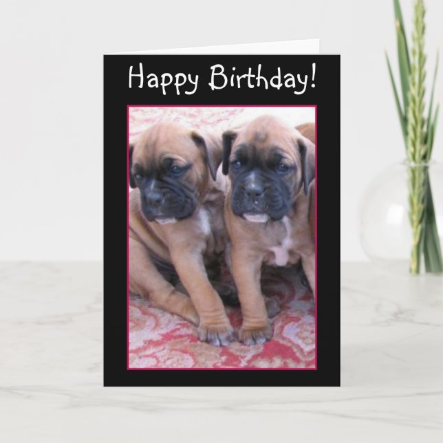 Carte d'anniversaire chiots Boxer (Devant)