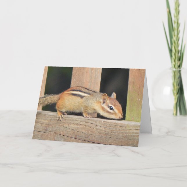 Carte d'anniversaire Chipmunk (Devant)