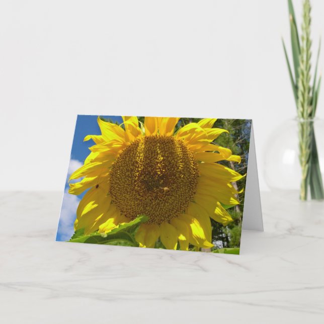 Carte d'anniversaire chrétienne de tournesol (Devant)