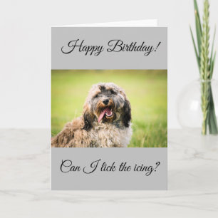 Carte d'anniversaire Cockapoo