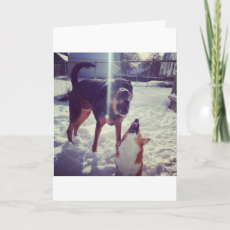 Carte d'anniversaire Corgi Best Friend