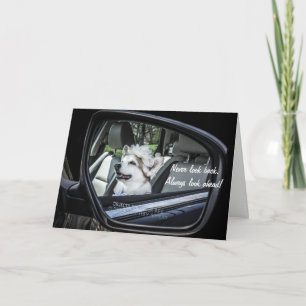 Carte d'anniversaire Corgi dans le miroir