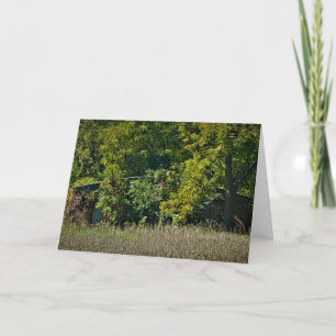 Carte d'anniversaire "couverture d'automne"