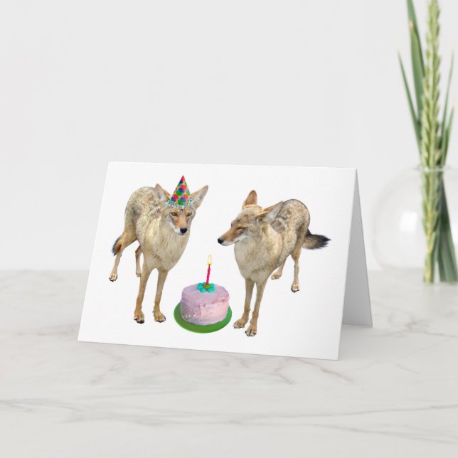 Carte d'anniversaire Coyotes (Devant)