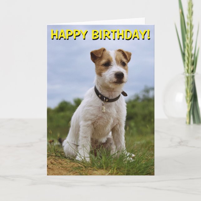 Carte d'anniversaire Cute Jack Russell (Devant)