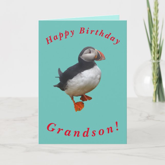 Carte d'anniversaire Cute Puffin pour Grandson (Devant)