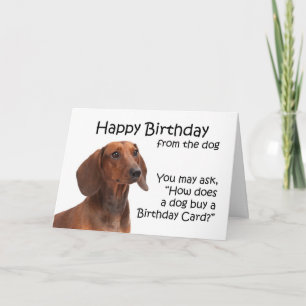 Carte d'anniversaire Dachshund
